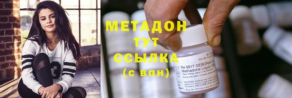 прущие грибы Саяногорск