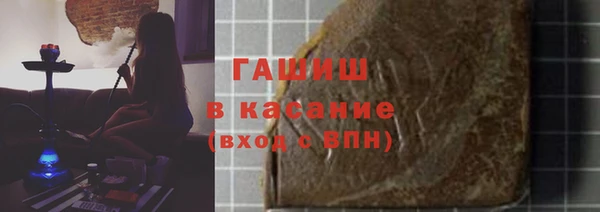 прущие грибы Саяногорск